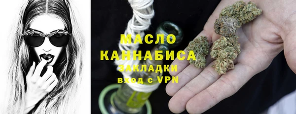 гидра Абаза