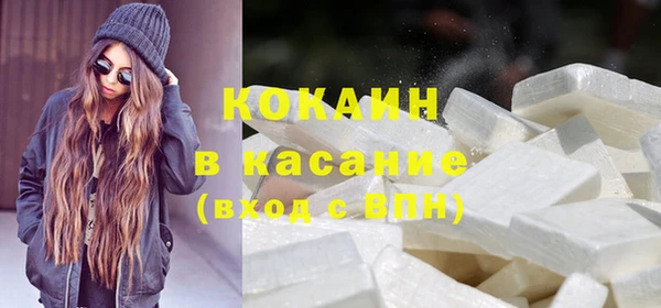 сатива Абинск