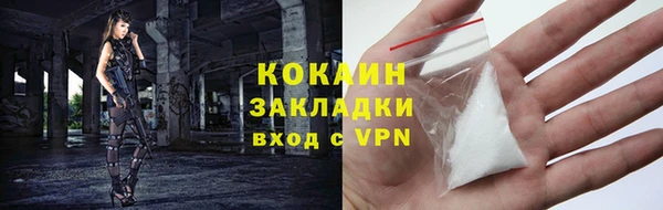 гидра Абаза