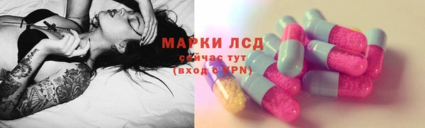 гидра Абаза