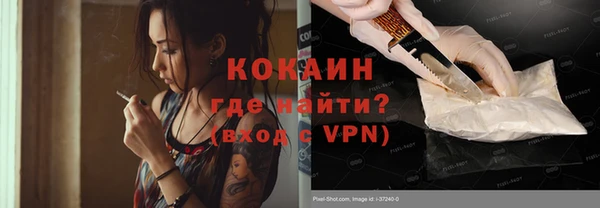 гидра Абаза