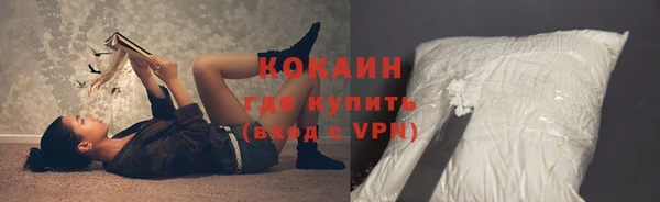 сатива Абинск