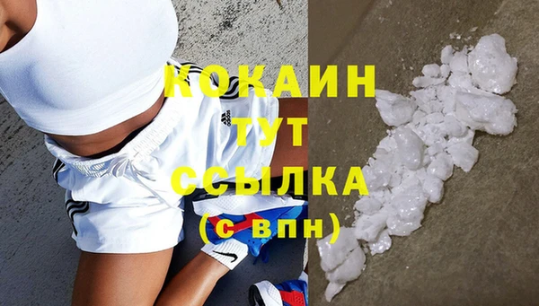 гидра Абаза