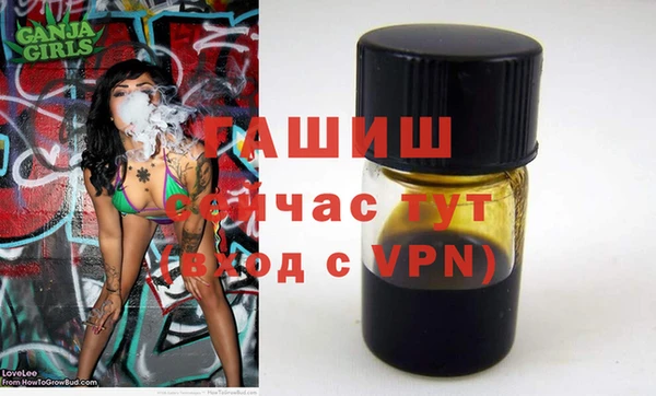 гидра Абаза