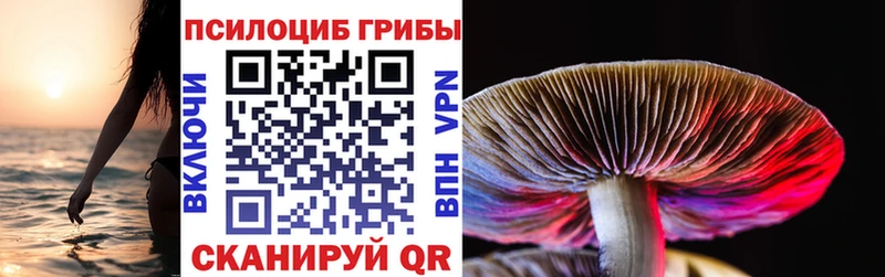 магазин продажи   Сарапул  Псилоцибиновые грибы мухоморы 